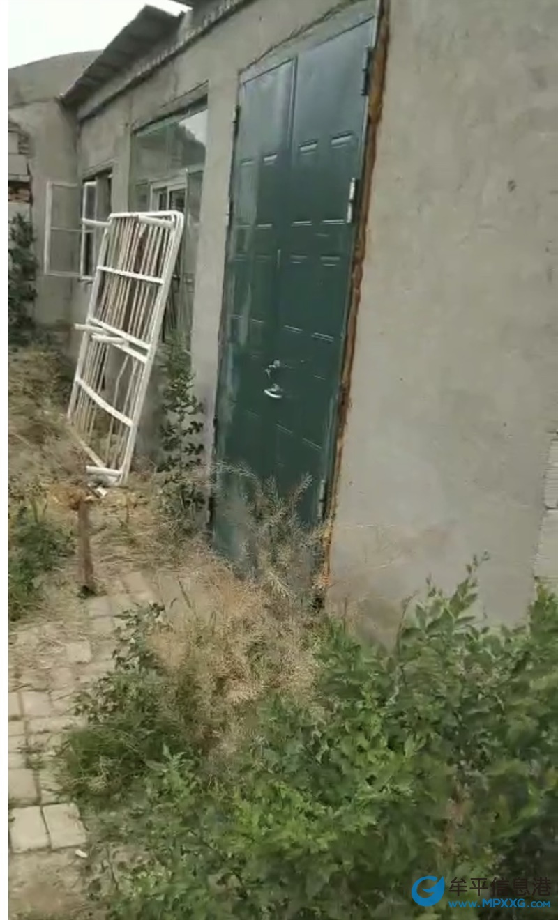 牟平场地出租