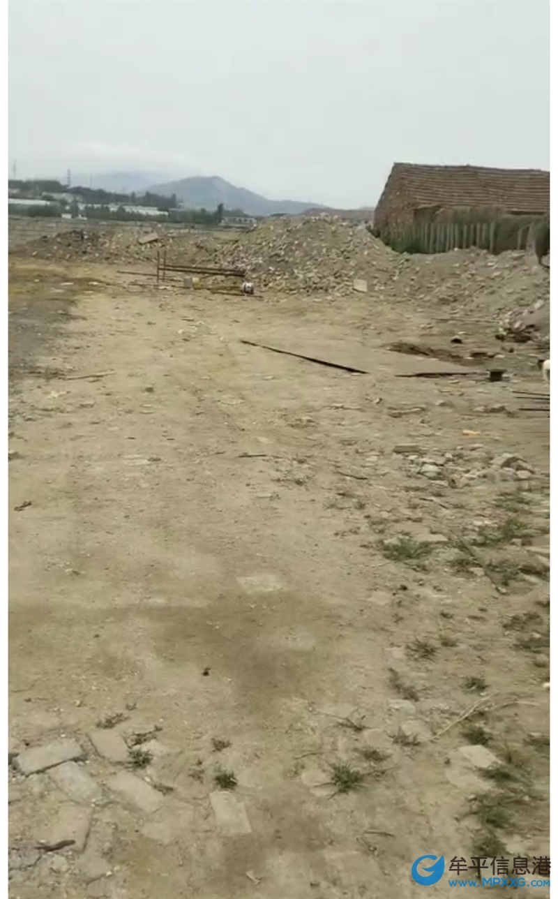 牟平场地出租