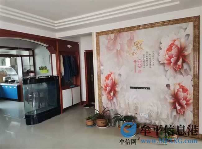 出租金岭6楼